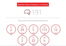 Herzwurm-Fälle in Australien