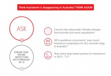 Flip-Animation bei Tab-Aktion